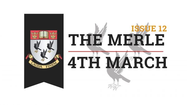 The-Merle-Website-8