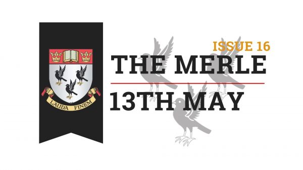 The-Merle-Website-14
