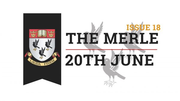 The-Merle-Website-