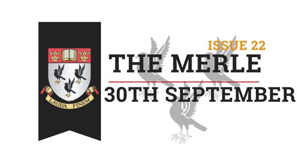 The-Merle-Website-1-1