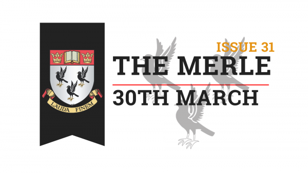 The-Merle-Website-3