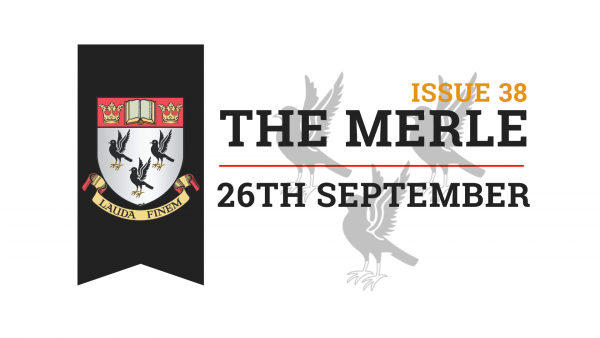 The-Merle-Website-