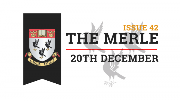 The-Merle-Website-5
