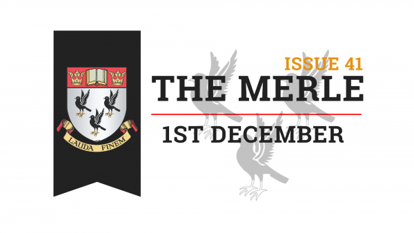 The-Merle-Website-6