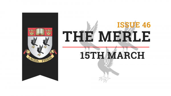The-Merle-Website-1