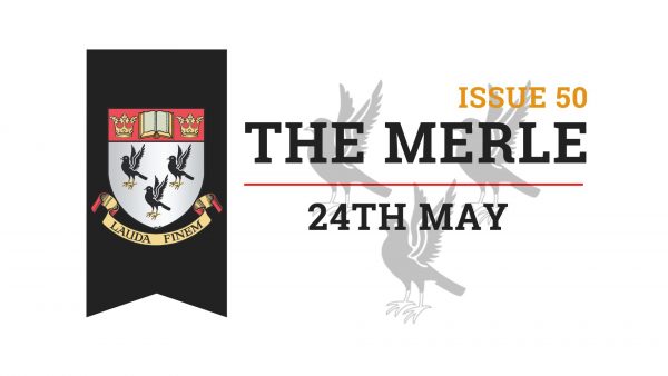 The-Merle-Website-2
