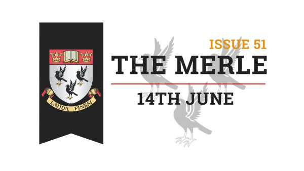 The-Merle-Website-27-1